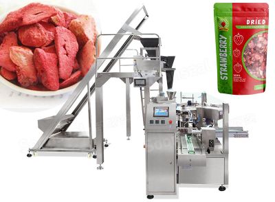 High Speed Automatic Rotary Dry Fruit Filling Machine