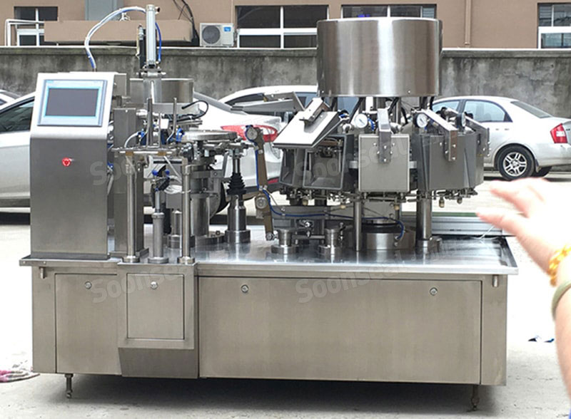 High Speed Automatic Vacuum Dried Fruit Rotary Packing Machine