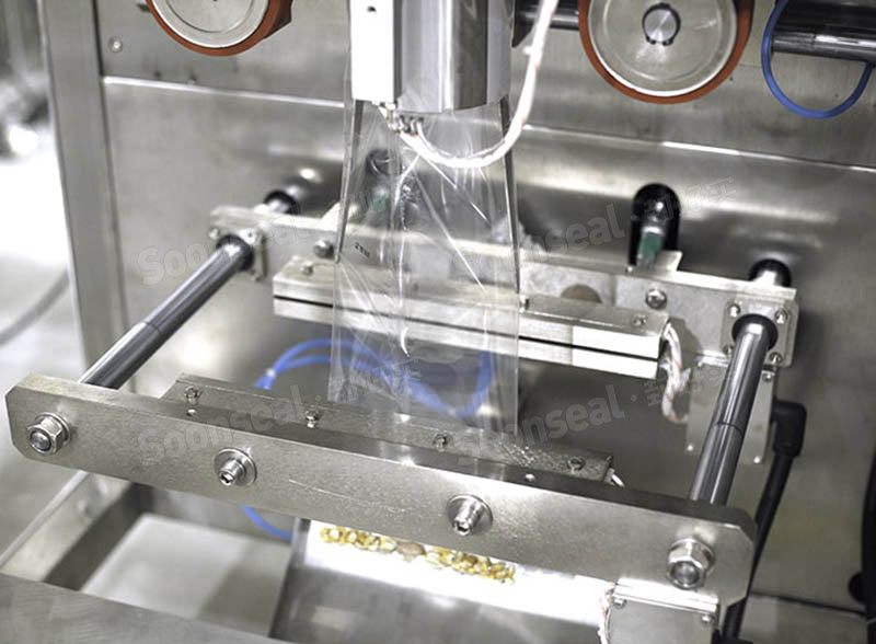 Full Automatic Pet Food Multihead Weigher Packing Machine