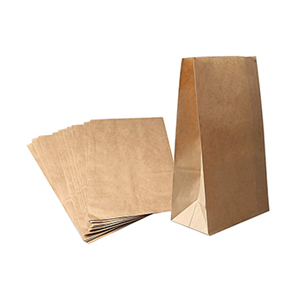 kraft paper bag