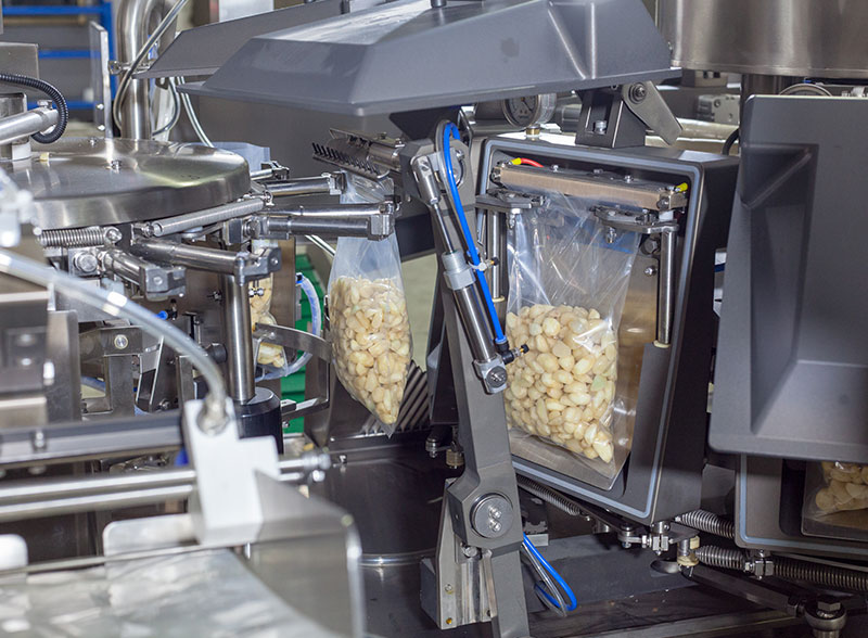 Full Automatic Granule Garlic Rotary Vacuum Premade Pouch Packing Machine