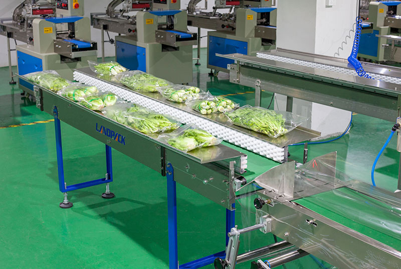 Automatic Horizontal Vegetable Lettuce Flow Pack Machine