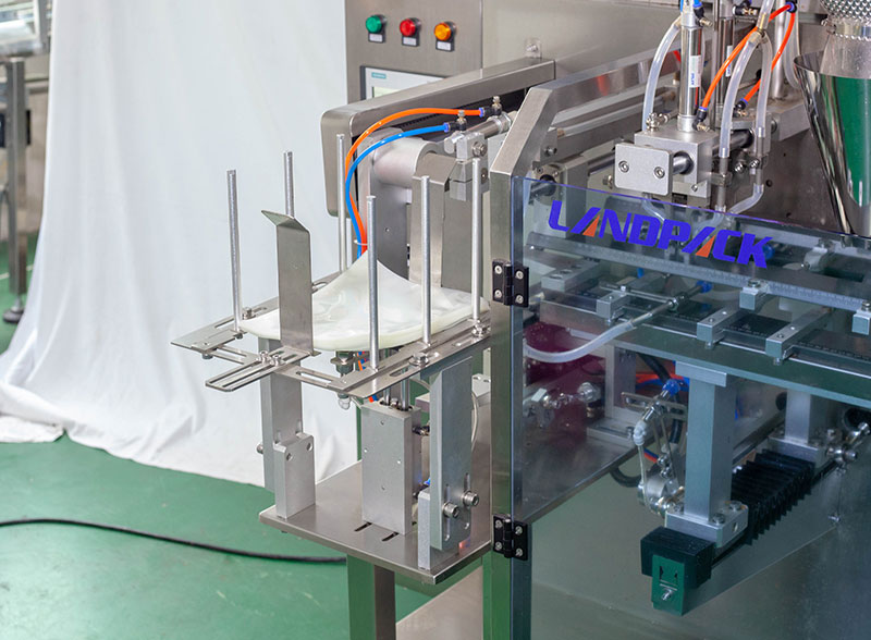 Horizontal Pickled Garlic Pouch Filling Sealing Machine With Linear Weigher