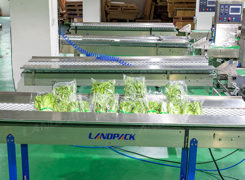 Auto Horizontal Vegetable Flow Wrapping Packing Machine With Hole Puncher