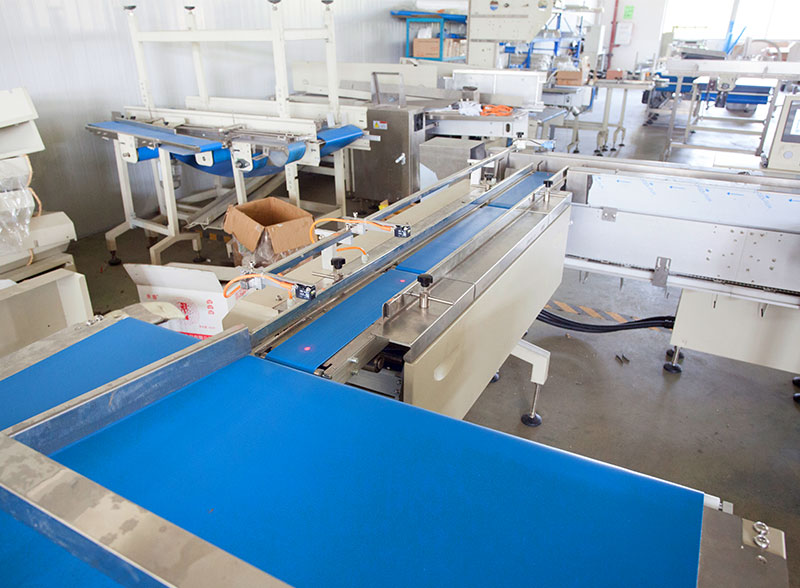 Automatic Wafer Biscuit Bread Feeding Wrapping Packaging System