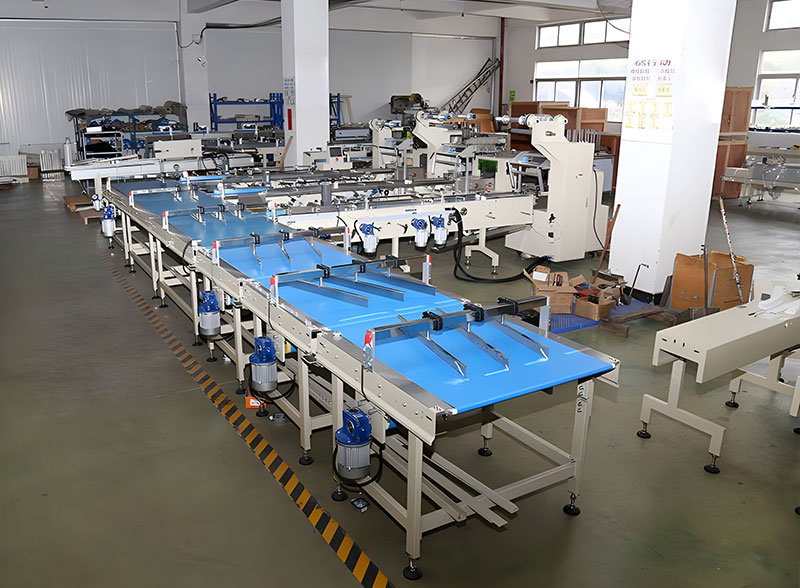Automatic Bun Biscuit Cake Feeding Sorting Packing Line Flow Packaging Machine